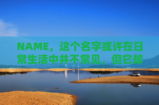 NAME，这个名字或许在日常生活中并不常见，但它却在某些领域里扮演着重要的角色。今天，让我们一起来探索这个名字背后的故事和意义