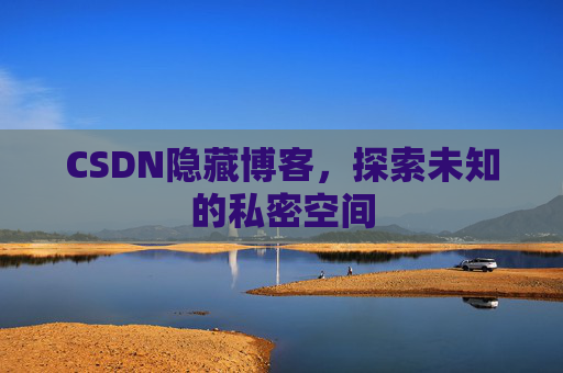 CSDN隐藏博客，探索未知的私密空间